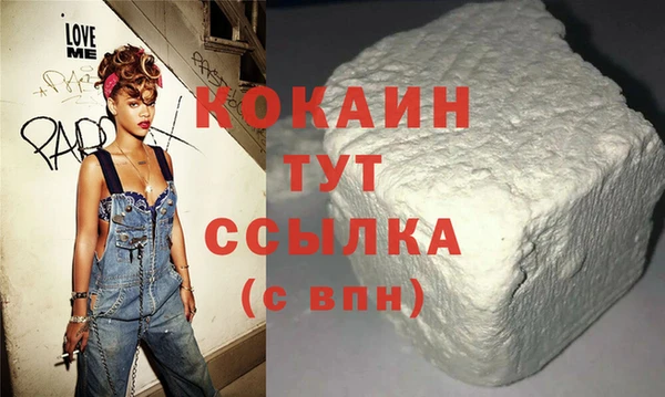 шишки Ельня